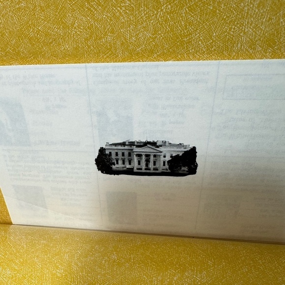 Biographies & Portraits Of The 41 Wives, Relatives Of Presidents At White House - Picture 4 of 5